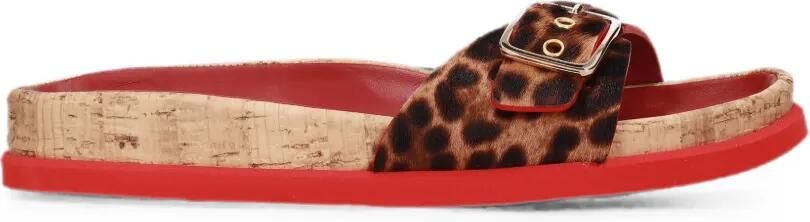 Premiata Slippers met luipaard-print en gesp-detail Bruin