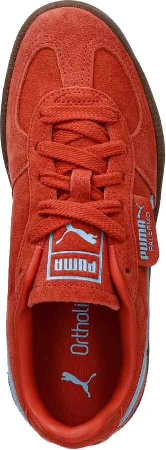 Puma Kids Palermo suède sneakers Rood - Foto 4