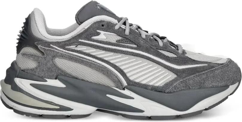 PUMA RS chunky sneakers met vlakken Grijs
