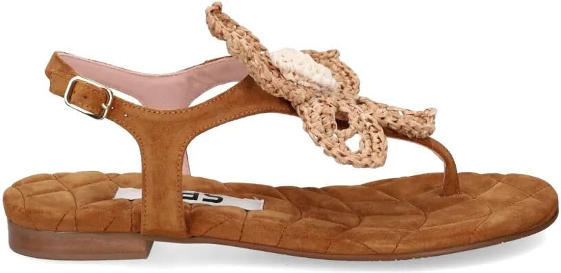 Ras Suède sandalen met bloemdetail Bruin