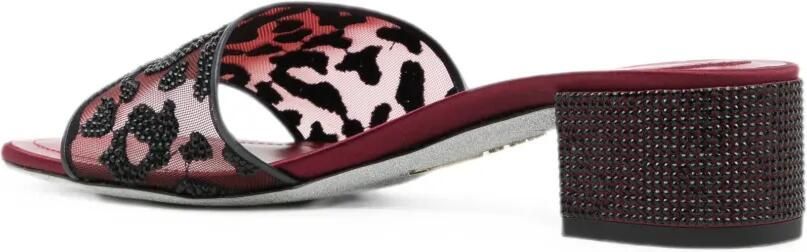 René Caovilla Allura sandalen met luipaardprint Rood - Foto 4