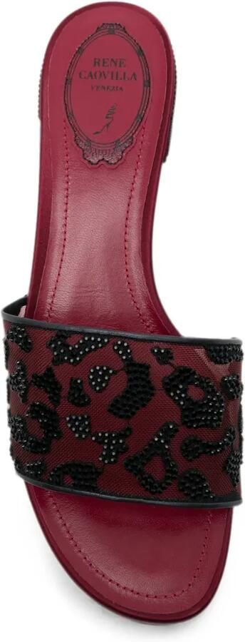 René Caovilla Allura sandalen met luipaardprint Rood - Foto 2