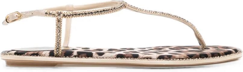 René Caovilla Diana sandalen met luipaardprint Beige