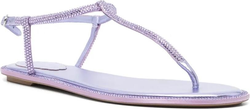 René Caovilla Diana sandalen Paars - Foto 3