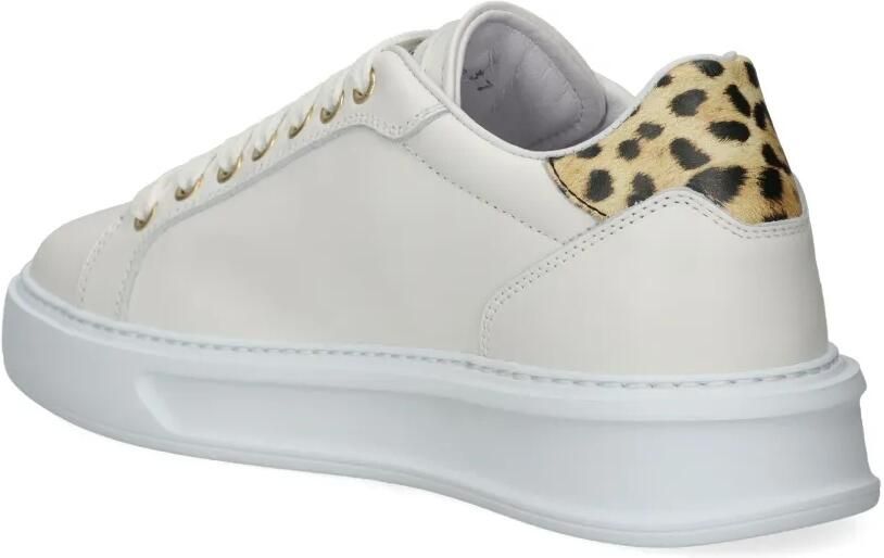 Roberto Cavalli Leren sneakers Beige - Foto 2