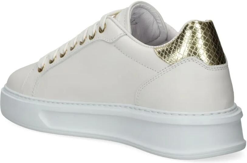 Roberto Cavalli Leren sneakers Beige - Foto 3