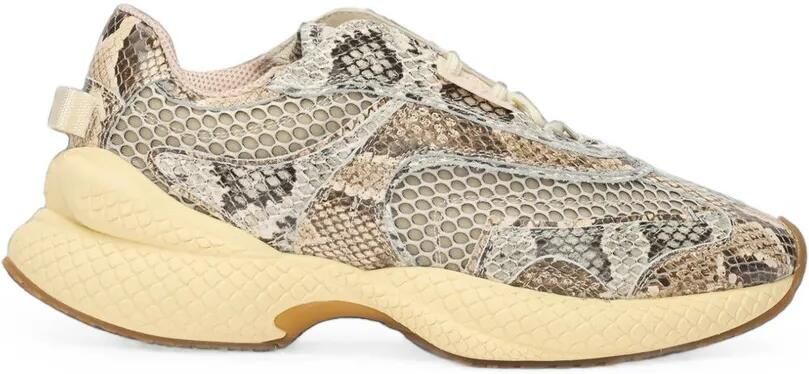 Roberto Cavalli Low-top sneakers met slangen-effect Beige