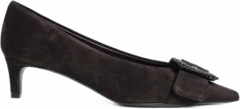 Roberto Festa Pumps met gespdetail en puntige neus Bruin