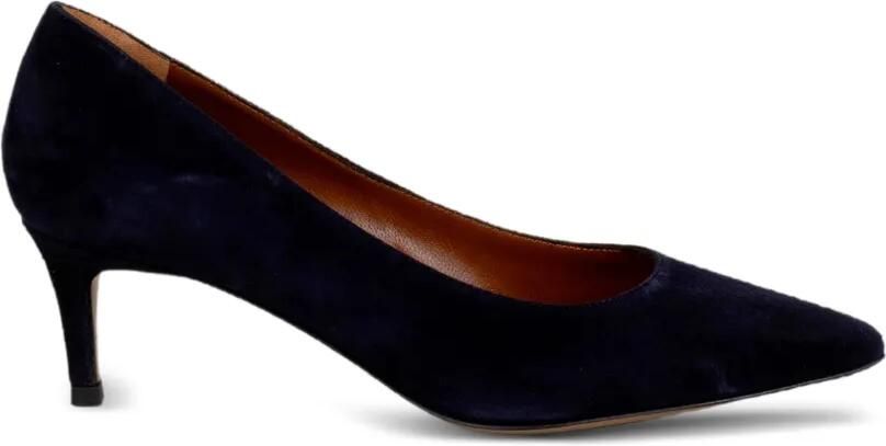 Roberto Festa Pumps met puntige neus en suède afwerking Blauw