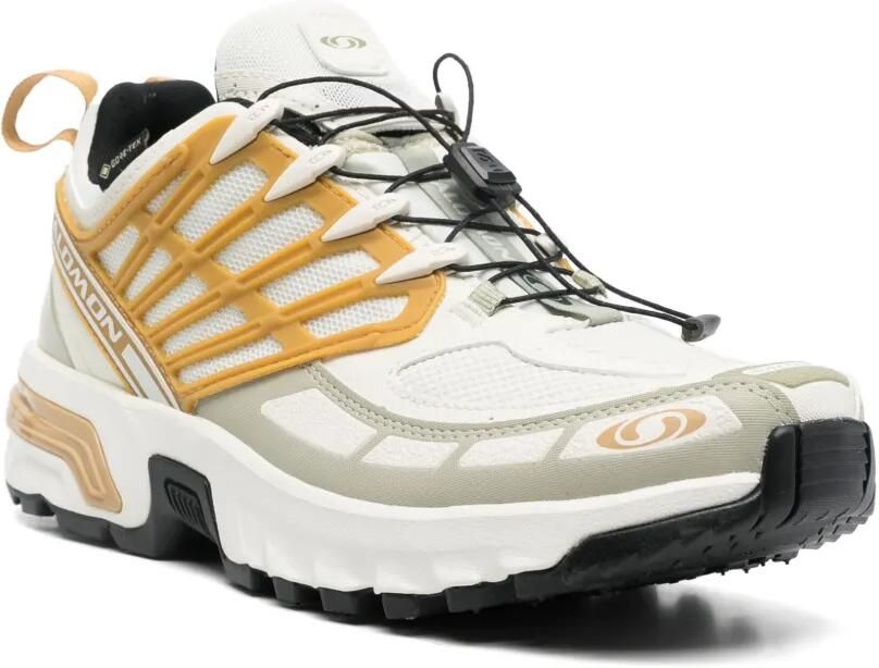 Salomon ACS Pro GTX sneakers Beige