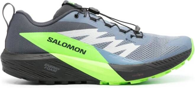Salomon Sense Ride 5 GTX sneakers Grijs