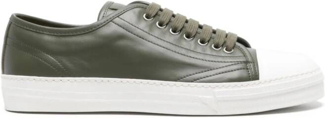 Scarosso Ambrogio leren sneakers Groen