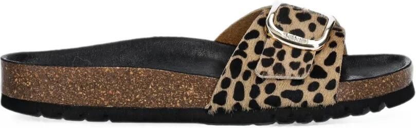 Scholl Kathleen platte sandalen Beige