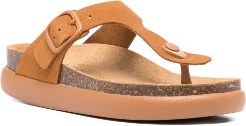 Scholl Sandalen met gespsluiting Bruin - Foto 3