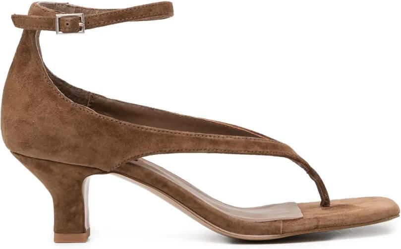 Senso 55 mm Palmer sandalen Bruin