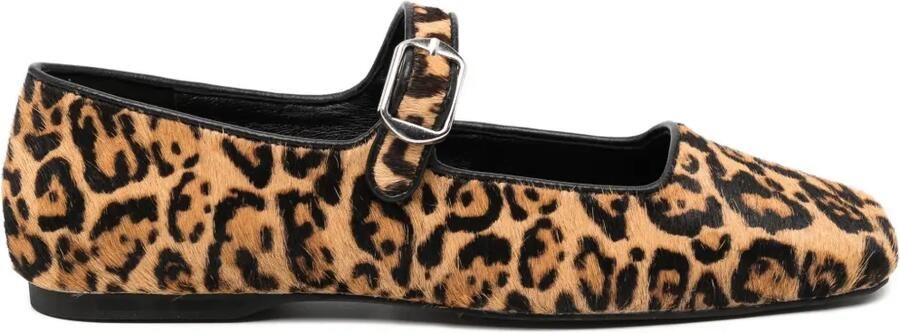 Senso Binky IV ballerina's Bruin