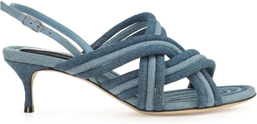 Sergio Rossi 50 mm Watamu sandalen Blauw