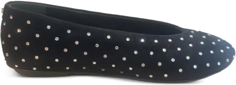 Sergio Rossi Royal Strass ballerina's verfraaid met stras Zwart
