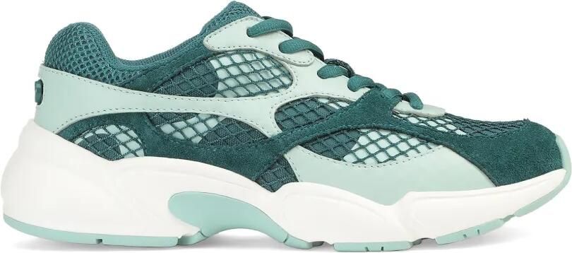 Sergio Rossi Surge Sport sneakers met vlakken Groen