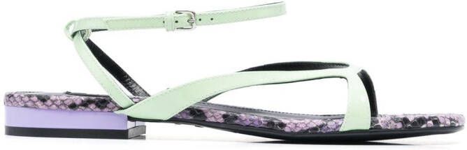 Sergio Rossi Sr Aracne sandalen met slangenprint Groen