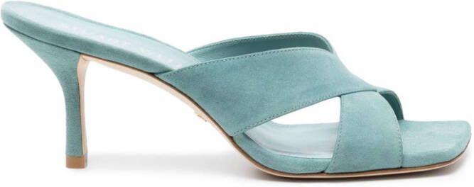 Stuart Weitzman Carmen muiltjes Blauw