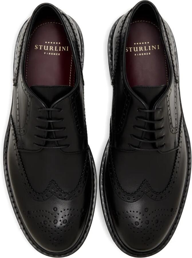 Sturlini firenze Derby schoenen met brogue detail Zwart