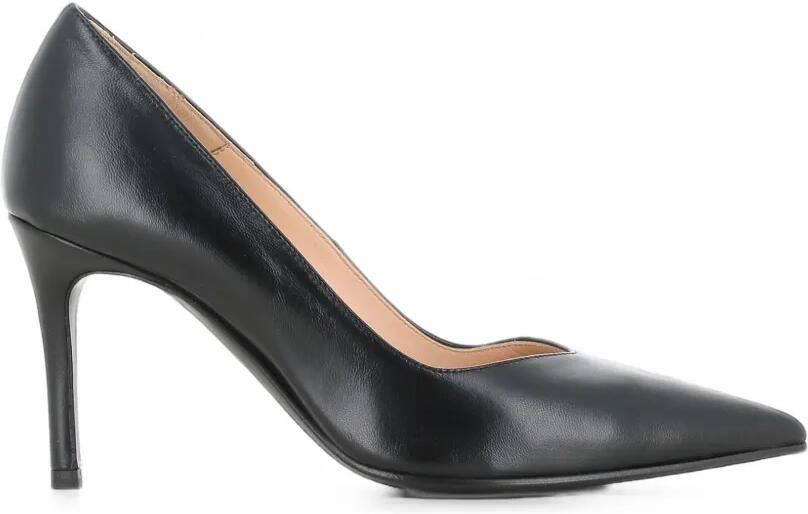 Tassinari Jarina pumps met puntige neus Zwart