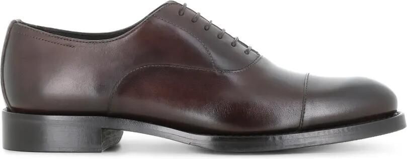 Tassinari Salle Oxford veterschoenen met kapneus Bruin