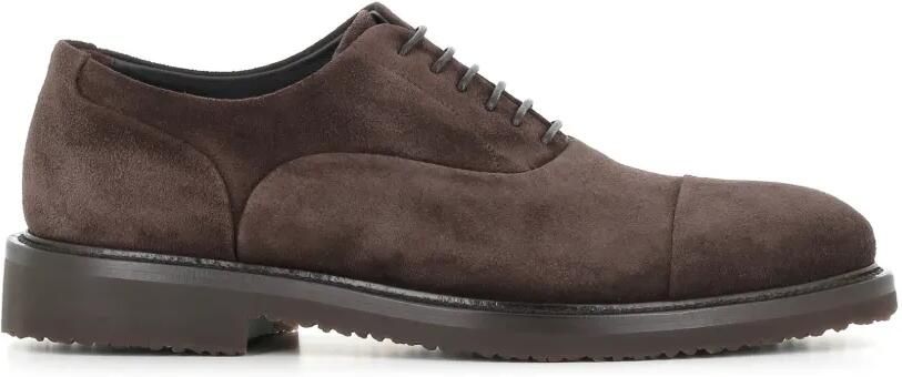 Tassinari Suède Oxford schoenen met kapneus Bruin