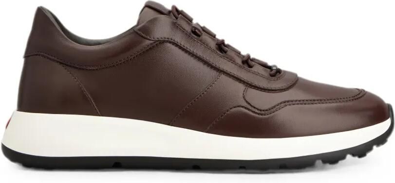 Tod's Red Dot leren sneakers Bruin