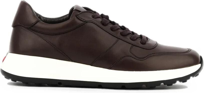 Tod's Red Dot nappa sneakers Bruin