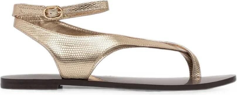 TWINSET Leren sandalen met Tejus-print Goud