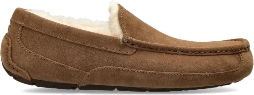 UGG Ascot suède loafers Bruin