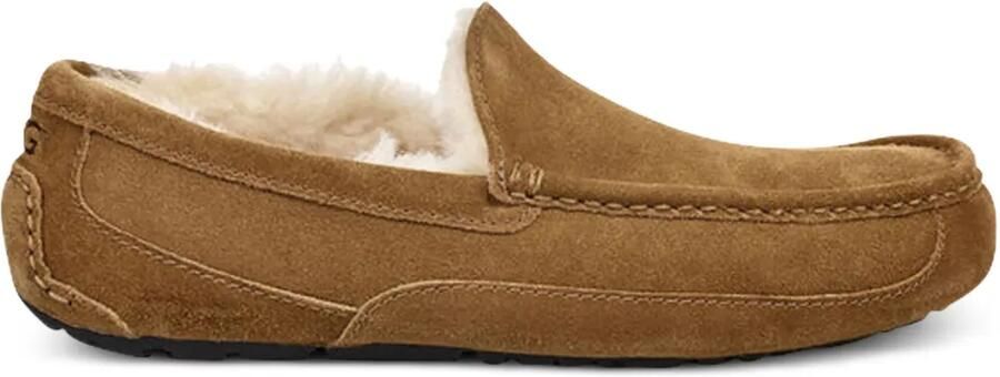 UGG Ascot slippers Bruin