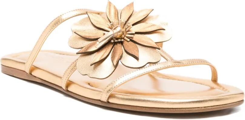 ZIMMERMANN Sandalen met bloemenapplicatie Goud - Foto 3