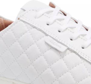 Barbour Sneakers Bridget in white