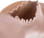 Chloé Loafers Lauren Ballerinas Leather in poeder roze - Thumbnail 1