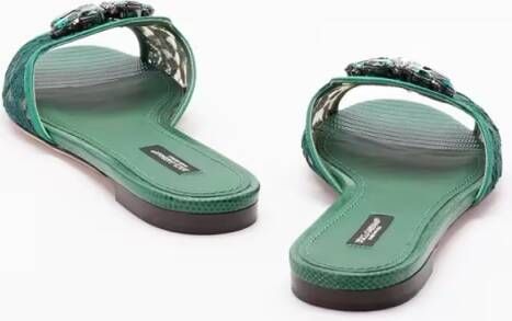 Dolce&Gabbana Sandalen `Rainbow` Slides With Brooch Detailing in groen