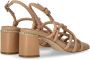 Ash Sandalen Jasmine Skin Heeled Sandal in bruin - Thumbnail 4