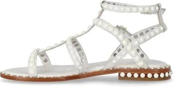 Ash Sandalen Precious Bis White Flat Sandal in grijs