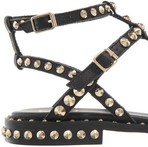 Ash Low model sandal Preacious01 2 Zwart Dames - Foto 3