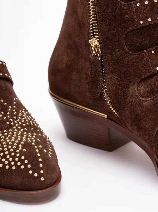 Chloé Boots `Susan` Ankle Boots in bruin