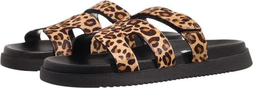 Steve Madden Sandalen Missile-Lc in luipaardprint