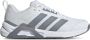 Adidas Dropset Control Trainer Dames Schoenen Wit Maat: 36 2 3 Mesh Synthetisch Foot Locker - Thumbnail 1