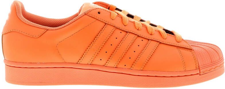 Adidas Gazelle Heren Schoenen