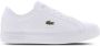 Lacoste Powercourt 0721 1 Suj (gs) Basketball Schoenen white white maat: 36 beschikbare maaten:35 36 37 38 39 - Thumbnail 1