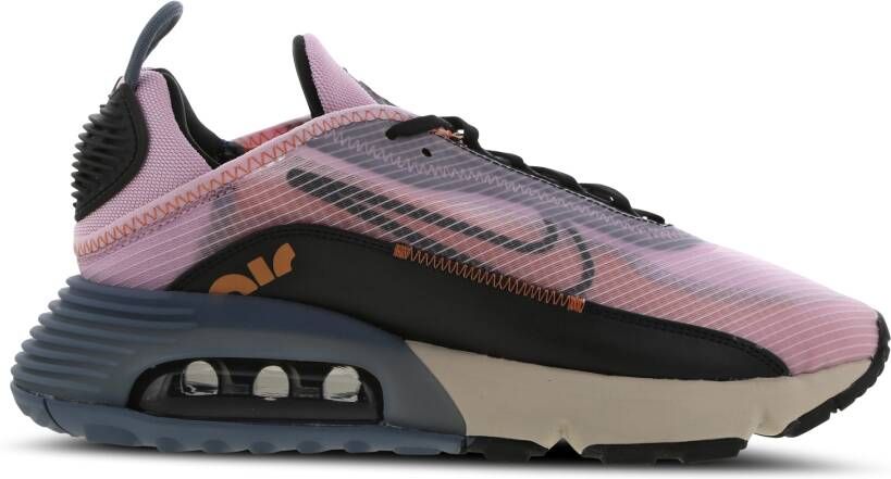 Nike Air Max 2090 Damesschoen Light Arctic Pink Ozone Blue Healing Orange Black Dames