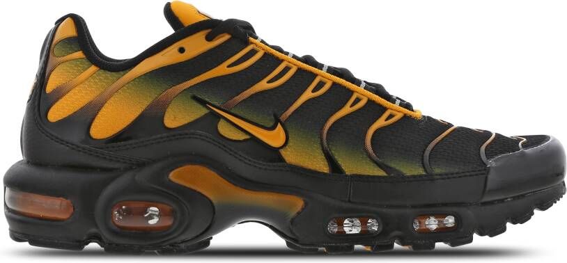 Nike Air Max Plus Sneakers Black Heren