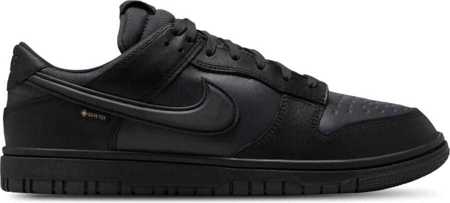Nike Dunk Low GORE-TEX schoenen voor heren Zwart