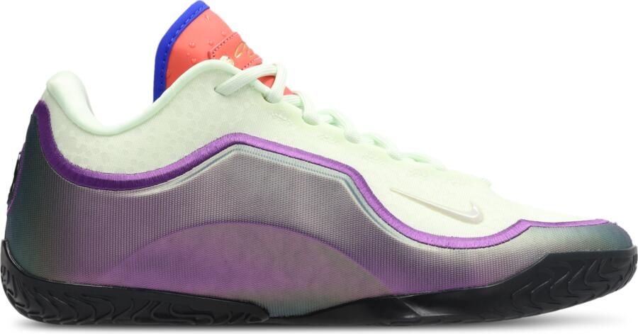 Nike LeBron Sneakers Heren Multi Mesh Synthetisch